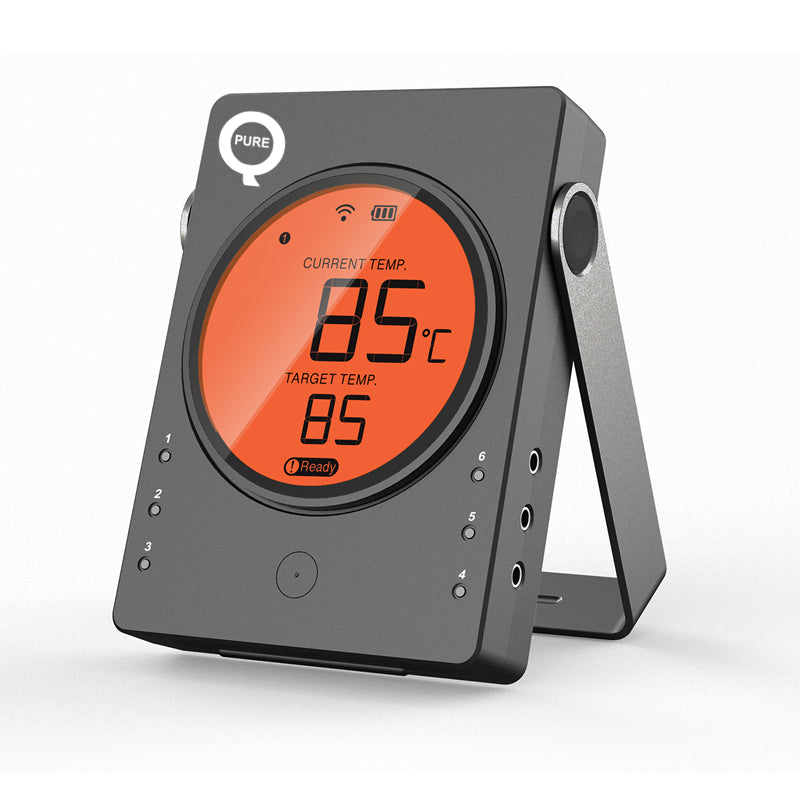 Professional BBQ thermometer